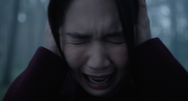 ngoc-trinh-tham-my-vien-am-phu2