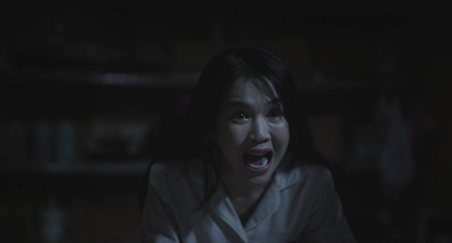 ngoc-trinh-tham-my-vien-am-phu3